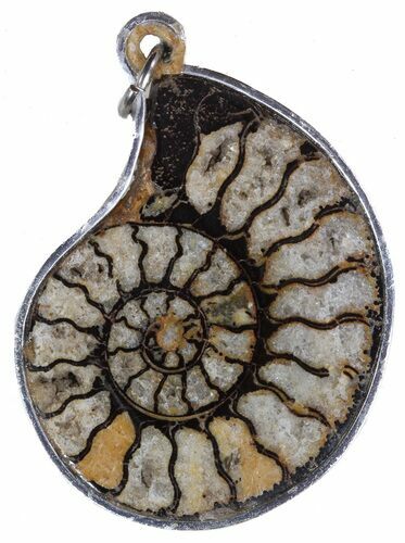Moroccan Ammonite Fossil Pendant #58354